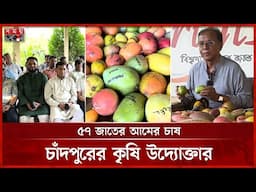 ১ জোড়া আমের দাম ৫ হাজার ডলার! | Mango Cultivation | Agriculture | Chandpur | Somoy TV