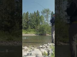 Morning Cutthroat Bite in the Tetons #outsunday