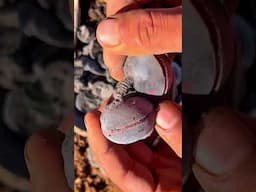 #metaldetecting #amazingfinds