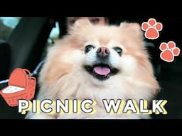Pomeranian Picnic Walk