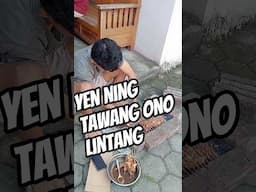 Yen ing tawang ana lintang #gendingjawa