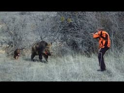 Yaban domuzu ile zorlu mücadele! / New video wildboar hunting#okaysahin #hugluovis #Sightmark