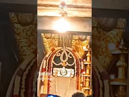 Mahashivratri at brihadeeswara temple Thanjavur| #brihadeeswaratemple #mahashivratri2025