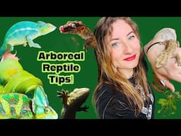 10 Ways To Reduce Stress For Arboreal Reptiles!