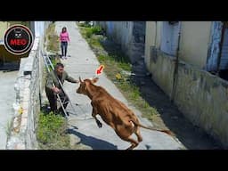 Incredible Moments Caught on Camera  (P161)