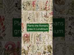 Plants the Romans grew in Londinium 🌿 #rhs #historyfacts