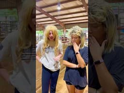 Karen’s around horses, time to sue! 🚨🤣