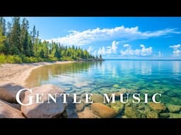 Gentle Music Heals The Heart And Blood Vessels 💚 Calms The Nervous System, Stops Overthinking