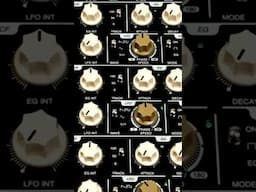 Vermona - from GDR Origins to Modern Synth Legends.