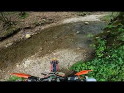 LETS GO IN FOREST