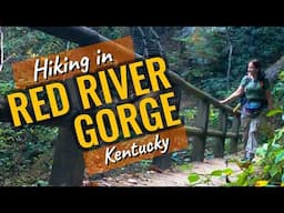 3 incredible hikes in Red River Gorge KY - Angel Windows, Chimney Top & Natural Bridge