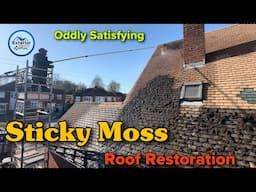 Battling with Sticky Mossy Roof: A 3-Day Roof Revival Journey | Oddly Satisfying by Xpert