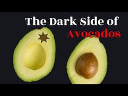 🥑The Dark Side of Avocados – What You Need to Know!
