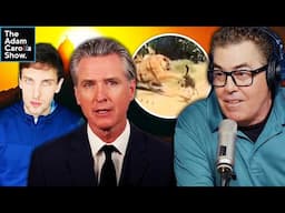 Trump Endorses Arrest of Newsom + Comedian Sentenced to 8 Years for Offensive Jokes | #news