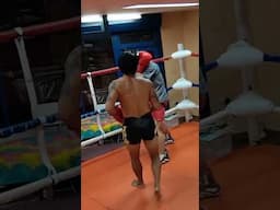 อ๊อซ ปะทะ โปรญี่ปุ่น Oz vs Pro boxer #boxing #miyatagym #japan #มวยสากล