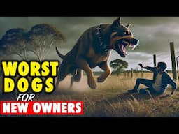 10 Most Dangerous Dog Breeds for First Time Owners