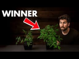 $0 vs $30 Seedling Mix: I TESTED 7 Options to see how big of a difference it makes!