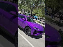 Purple Lamborghini Lurking