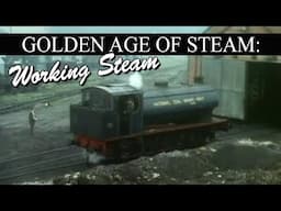 Golden Age of Steam: Working Steam