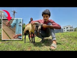 JUST MISS SNAKE 🐍..!! LAST DAY with AADU..😵‍💫