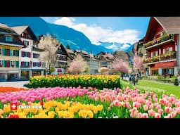 Lugano Switzerland🇨🇭Evening Walking Tour In Most Charming City _ Lake Lugano