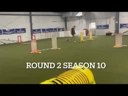 AKC Agility League Season 10 Round 2 | 8” and 4” jump heights