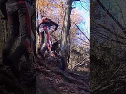 Gass+gass=Out Out