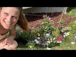 Garden Center Plant Haul | Garden VLOG