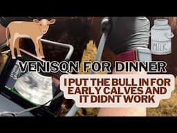 I Put The Bull In For Early Calves And It Didn't Work...