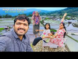 आदिवासी गांव खेत Life culture नागालैंड Northeast Ep -19
