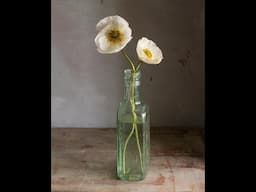 Close value challenge: White Poppies - Live Oil Painting demonstration