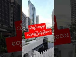 ညနေဘက်မှဖွင့်တဲ့ပန်းခြံလေး #shortsfeed #shortvideos #shortsviral #viralvideo