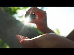 A Journey of Wellness Discovery