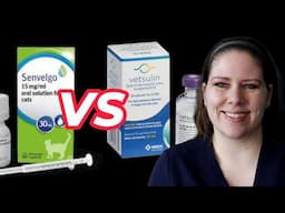 Vet Reviews Senvelgo: Is It Right for Your Diabetic Cat?