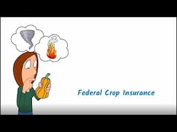 Making New Crop Insurance Products