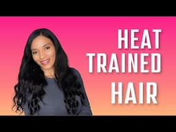 Heat Trained Natural Hair Update!  Trim, Cutting Bangs, Length Goals
