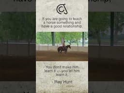 Developing “Feel” In The Saddle. #horse #vaquero #fyp #buckaroo #equestrian #horsemanship