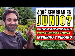 Calendario de Siembra 2025  Que sembrar en JUNIO en el Huerto-INICIO de Invierno e INICIO de VERANO