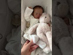 Mi bebé reborn Victor con ropita de Peter Rabbit!! 🐰💕🥕