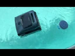 One Year Review of Beatbot Robotic Pool Cleaner