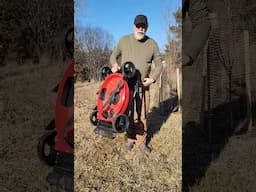 Electric Lawnmower cuts down a field @powersmartusa8485 #powersmartmowon #electricmower #lawn