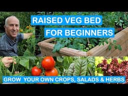 RAISED VEG BED FOR BEGINNERS – GROW YOUR OWN CROPS, SALADS & HERBS – STEP-BY-STEP GUIDE