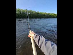 Hardy flyfish