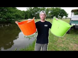Tiny Catfish Taking over Pond! INVASIVE FISH REMOVAL