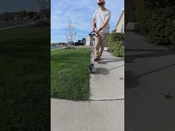 Full service detail for my lawn