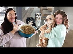First Time Making Homemade Dog Food!