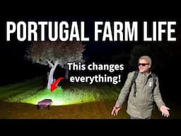 The FUTURE of our Portuguese Farm - ANTHBOT AI Robot Mower