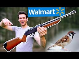 BIRD HUNTING with Walmart’s CHEAPEST PELLET GUN!