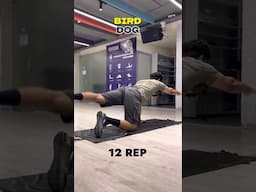 Lower Back Strengthening Exercises | कमर मजबूत करने की सबसे असरदार एक्सरसाइज़!