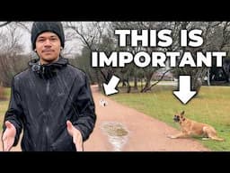 You Need to Do THIS With Your Reactive Dog